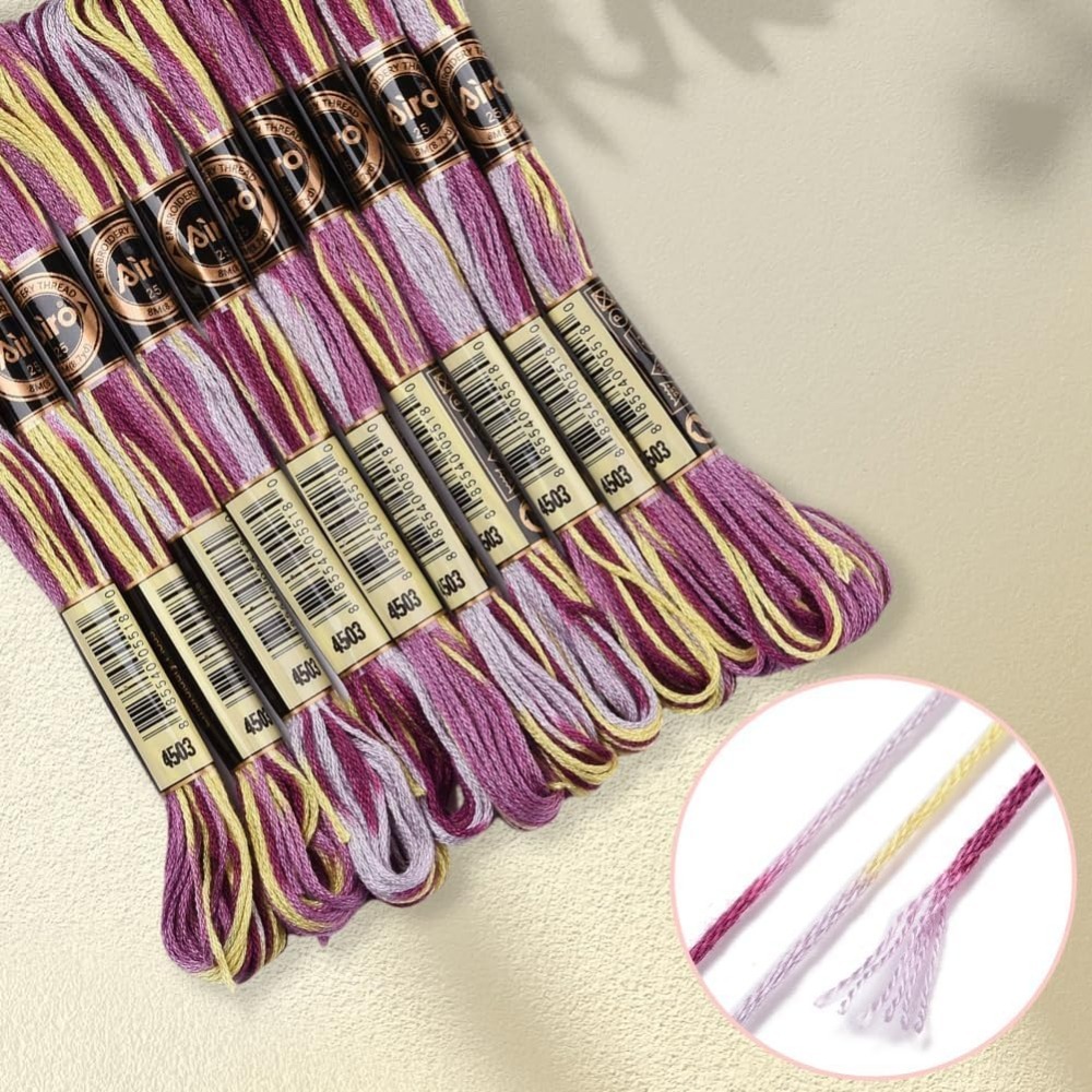 6 السواحل الأرجواني متنوعة الت - مراجعة Embroidery Floss Thread وسعره